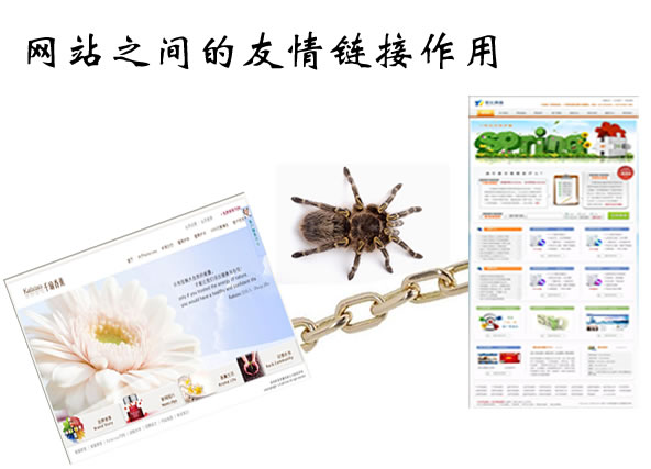 網(wǎng)站友鏈--廣州網(wǎng)站建設www.studstu.com